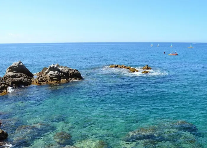 Face A La - Cala Llevado Tossa de Mar